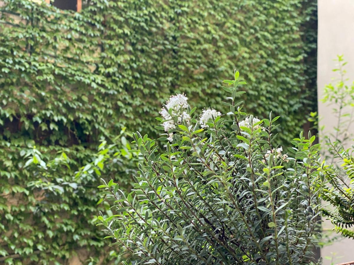 Hotel Blissdom Tbilisi Exterior photo